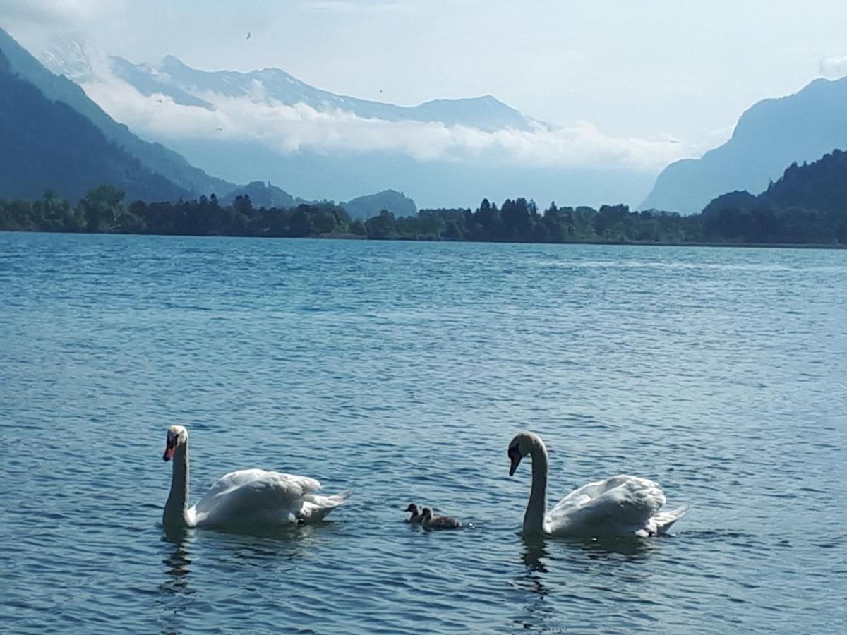 Berner Oberland Am Thunersee Därligen 외부 사진